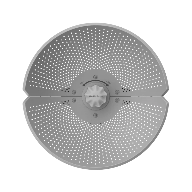 RG-AirMetro460G